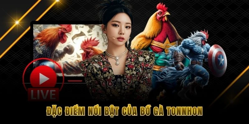 Đặc điểm nổi bật của bồ gà Tonnhon