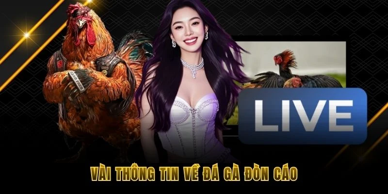 Vài thông tin về đá gà đòn cáo